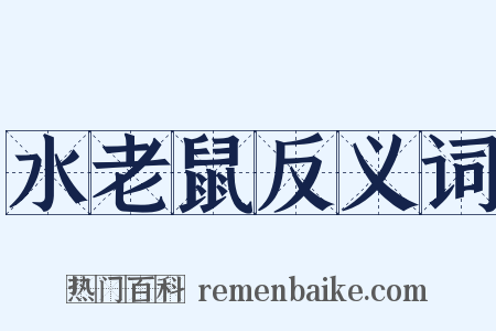 水老鼠反义词是什么意思的图片